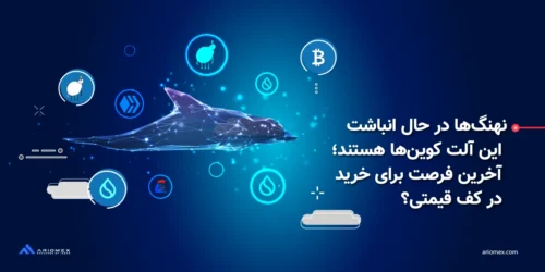 نهنگها در حال انباشت این آلتکوینها هستند