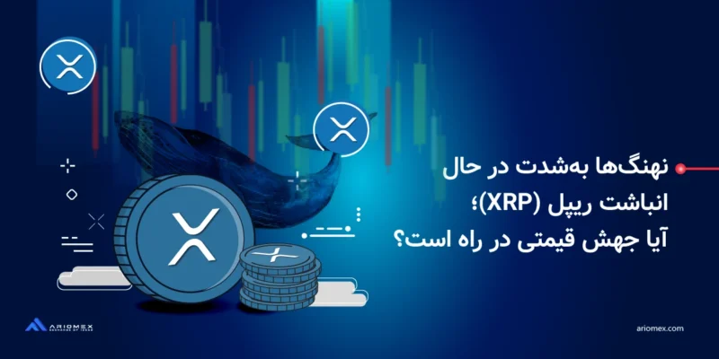 نهنگ‌ها به‌شدت در حال انباشت ریپل (XRP)؛‌ آیا جهش قیمتی در راه است؟