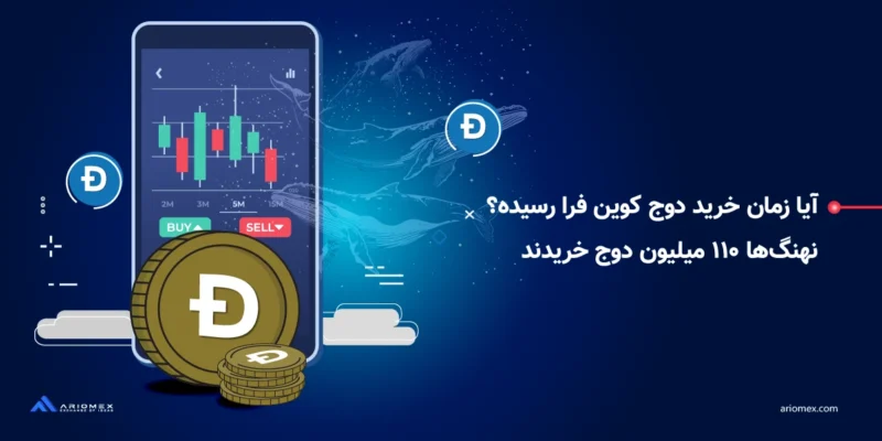 آیا زمان خرید دوج کوین (DOGE) فرا رسیده؟ نهنگ‌ها ۱۱۰ میلیون دوج خریدند