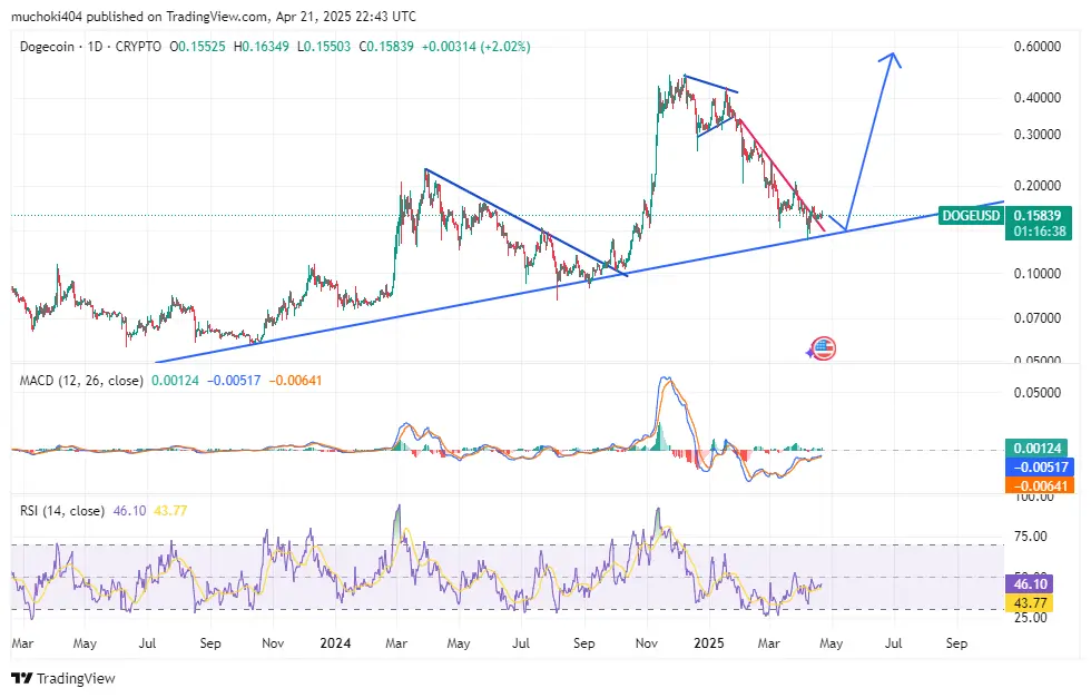 تحلیل قیمت دوج کوین + نمودار تکنیکال و فاندامنتال DOGE | بلاگ آریومکس تحلیل تکنیکال دوج کوین