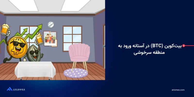 بیت‌کوین (BTC) در آستانه ورود به منطقه سرخوشی؛ ۸۵٪ از بیت‌کوین‌های خریداری‌شده درسود