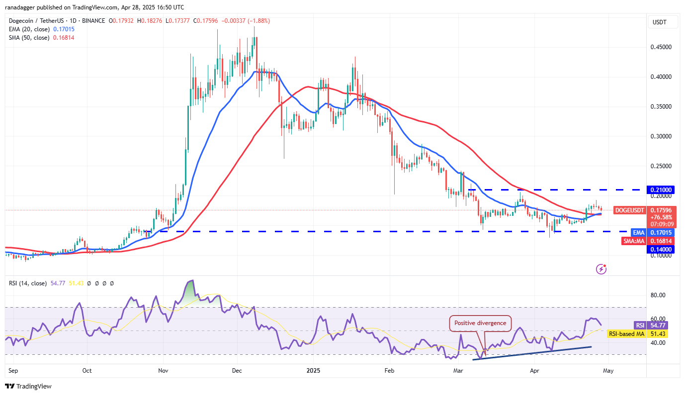 تحلیل قیمت دوج کوین + نمودار تکنیکال و فاندامنتال DOGE | بلاگ آریومکس تحلیل تکنیکال دوج