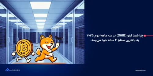 چرا شیبا اینو (SHIB) در سه ماهه دوم ۲۰۲۵ به بالاترین سطح ۴ ساله خود میرسد؟