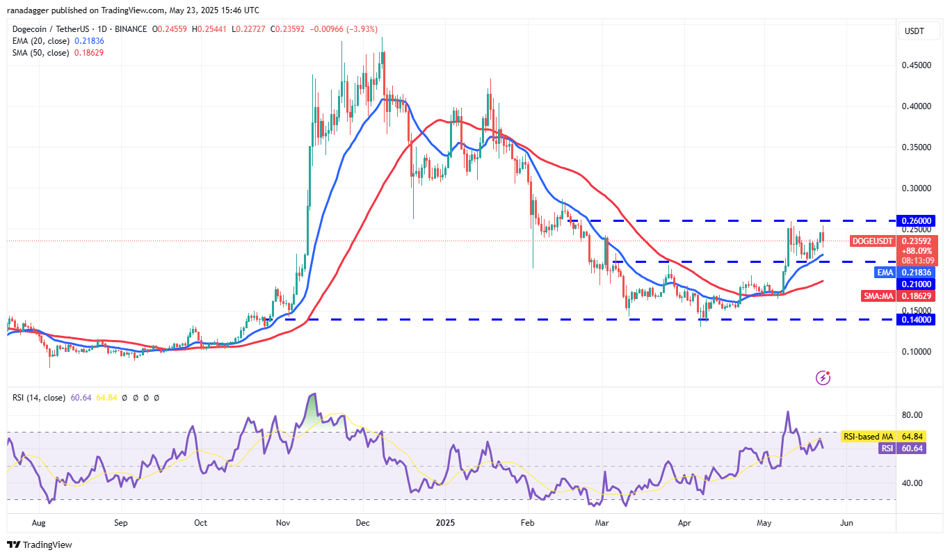 تحلیل قیمت دوج کوین + نمودار تکنیکال و فاندامنتال DOGE | بلاگ آریومکس تحلیل قیمت دوج براساس نمودار روزانه