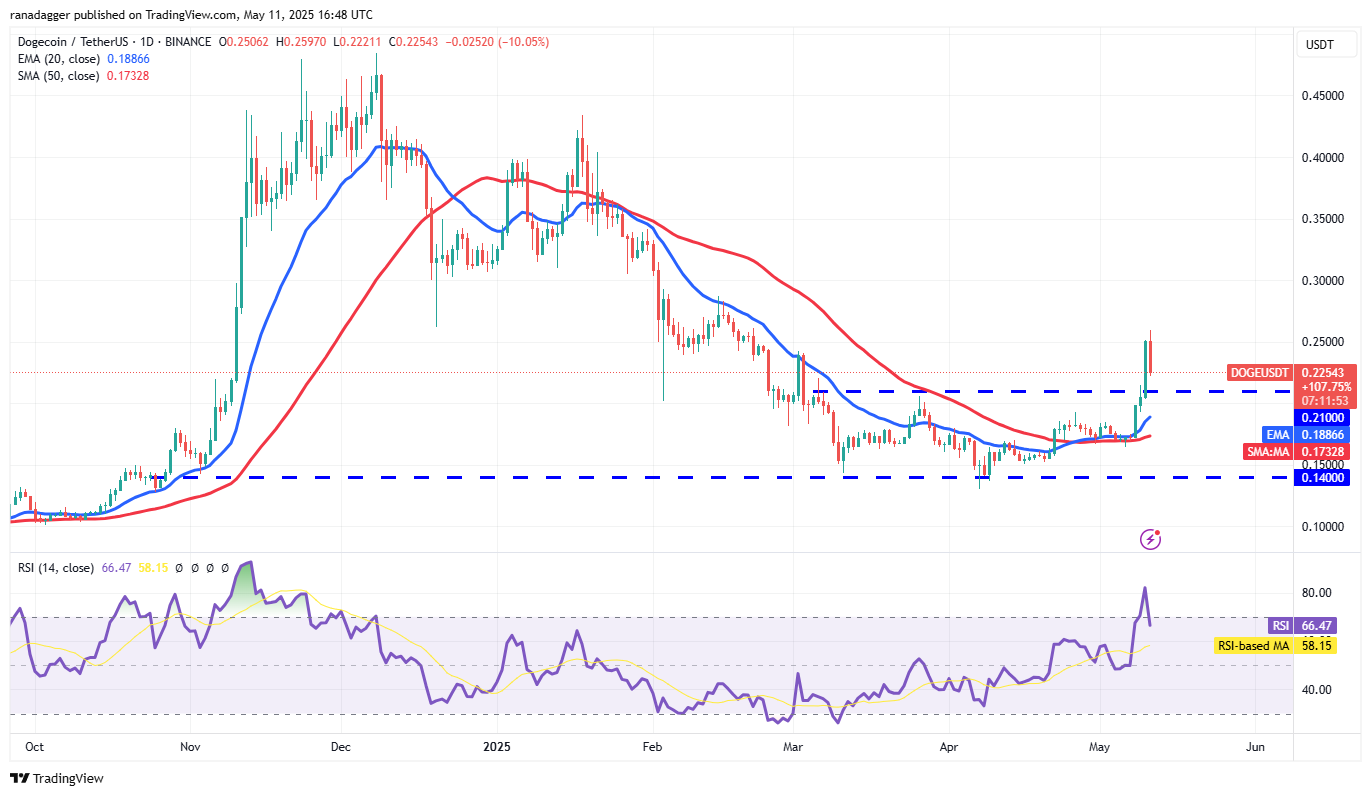 تحلیل قیمت دوج کوین + نمودار تکنیکال و فاندامنتال DOGE | بلاگ آریومکس تحلیل تکنیکال قیمت دوج در بلاگ آریومکس