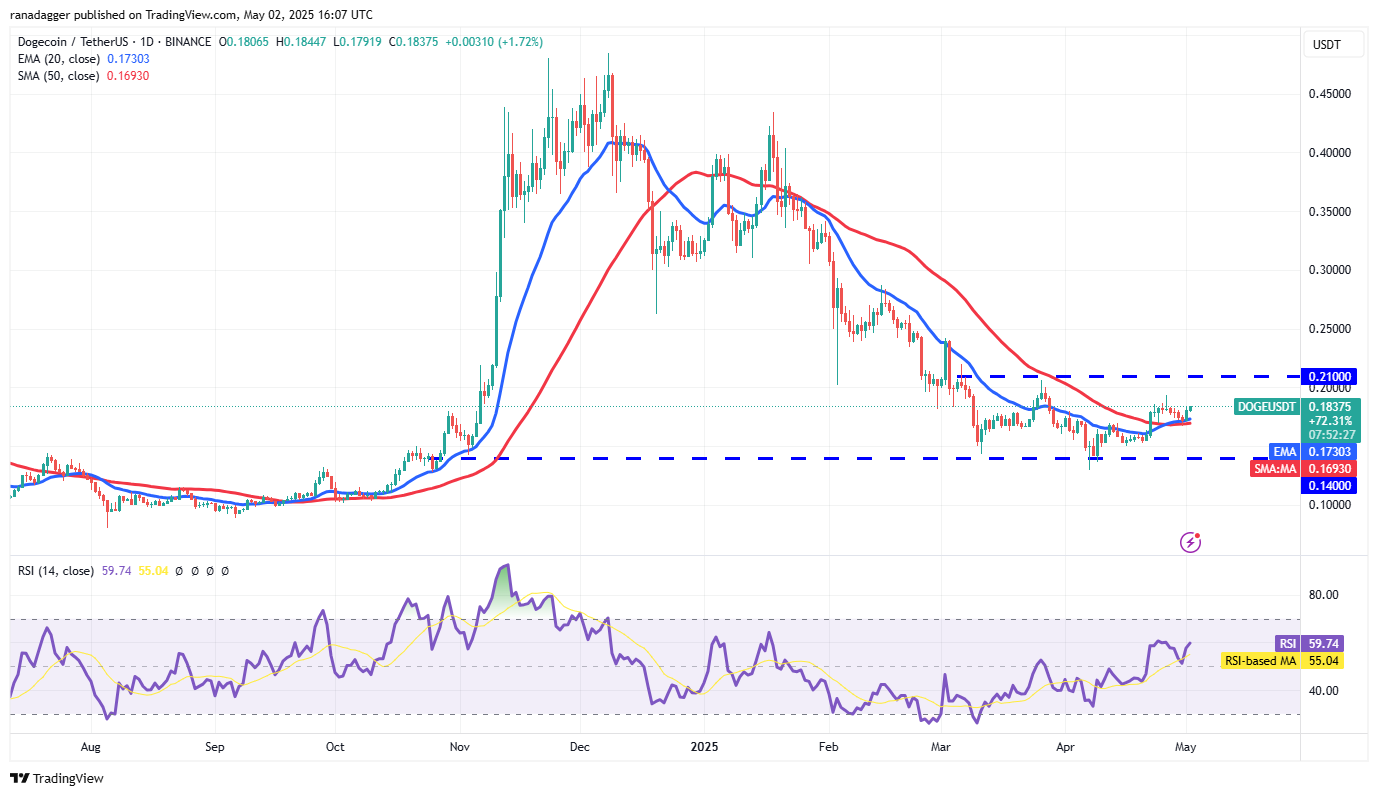 تحلیل قیمت دوج کوین + نمودار تکنیکال و فاندامنتال DOGE | بلاگ آریومکس تحلیل قیمت دوج کوین
