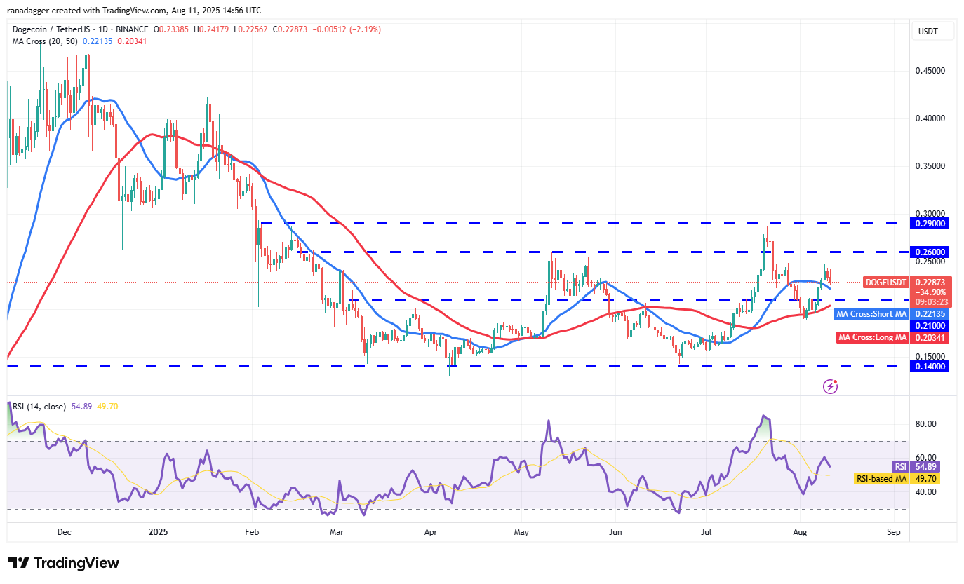 تحلیل قیمت دوج کوین + نمودار تکنیکال و فاندامنتال DOGE | بلاگ آریومکس تحلیل تکنیکال قیمت دوج