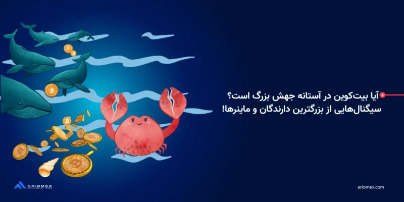 آیا بیت کوین در آستانه جهش بزرگ است؟ سیگنال‌هایی از نهنگ‌ها و ماینرها!