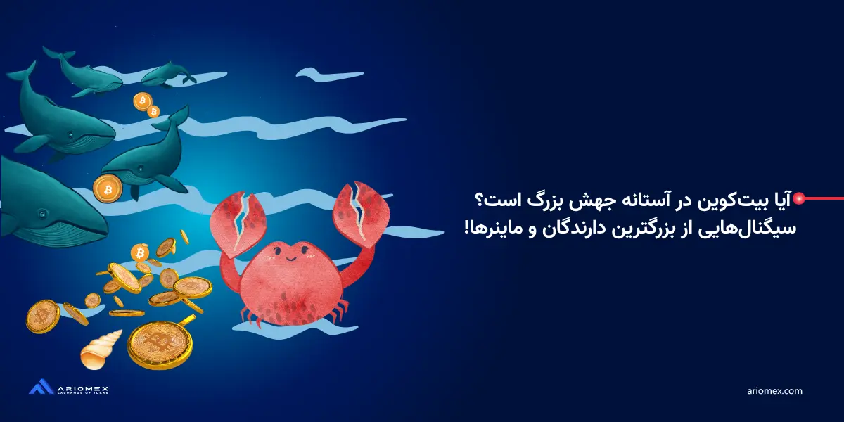 آیا بیت کوین در آستانه جهش بزرگ است؟ سیگنالهایی از نهنگها و ماینرها!