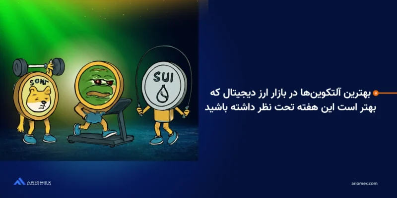 Bonk (BONK)، Sui (SUI) و Pepe (PEPE) به عنوان سه آلتکوین برتر و پرطرفدار در این کشور در هفته پایانی جولای ظهور کرده‌اند.