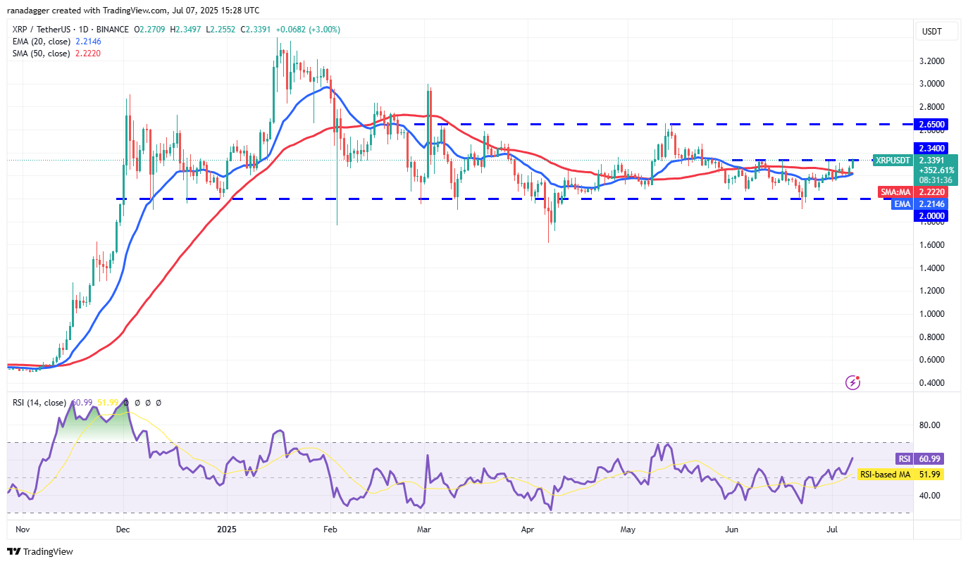 تحلیل روزانه قیمت ریپل + نمودار حرفه ای تحلیل تکنیکال XRP | بلاگ آریومکس تحلیل تکنیکال قیمت ریپل