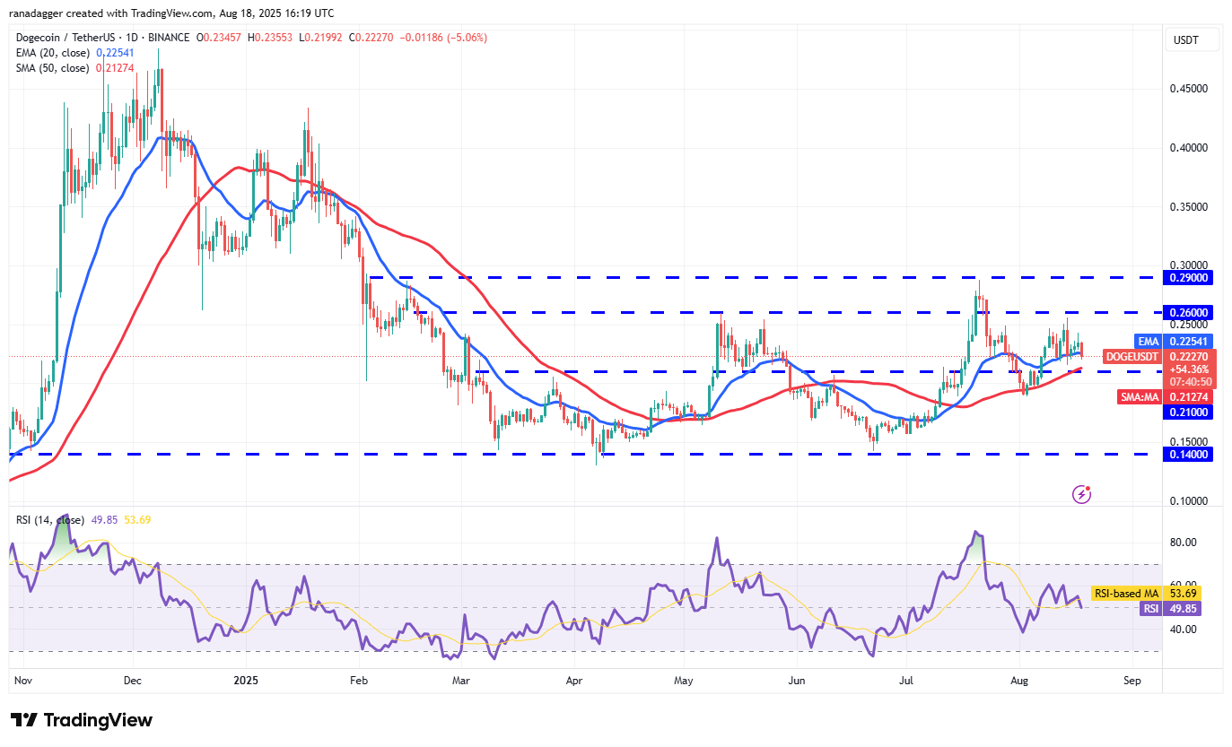 تحلیل قیمت دوج کوین + نمودار تکنیکال و فاندامنتال DOGE | بلاگ آریومکس تحلیل تکنیکال قیمت دوج کوین