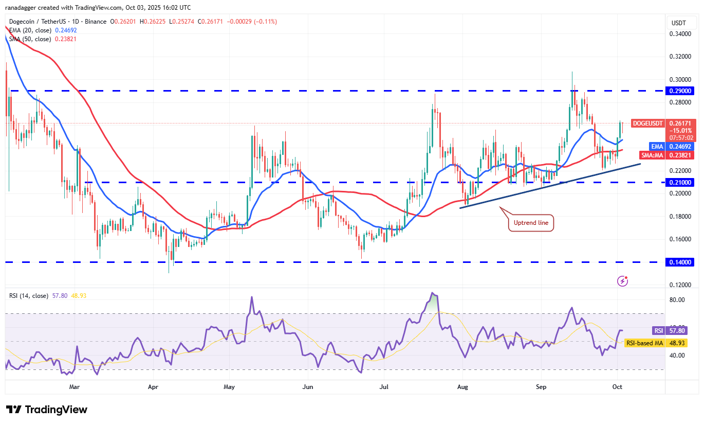 تحلیل قیمت دوج کوین + نمودار تکنیکال و فاندامنتال DOGE | بلاگ آریومکس