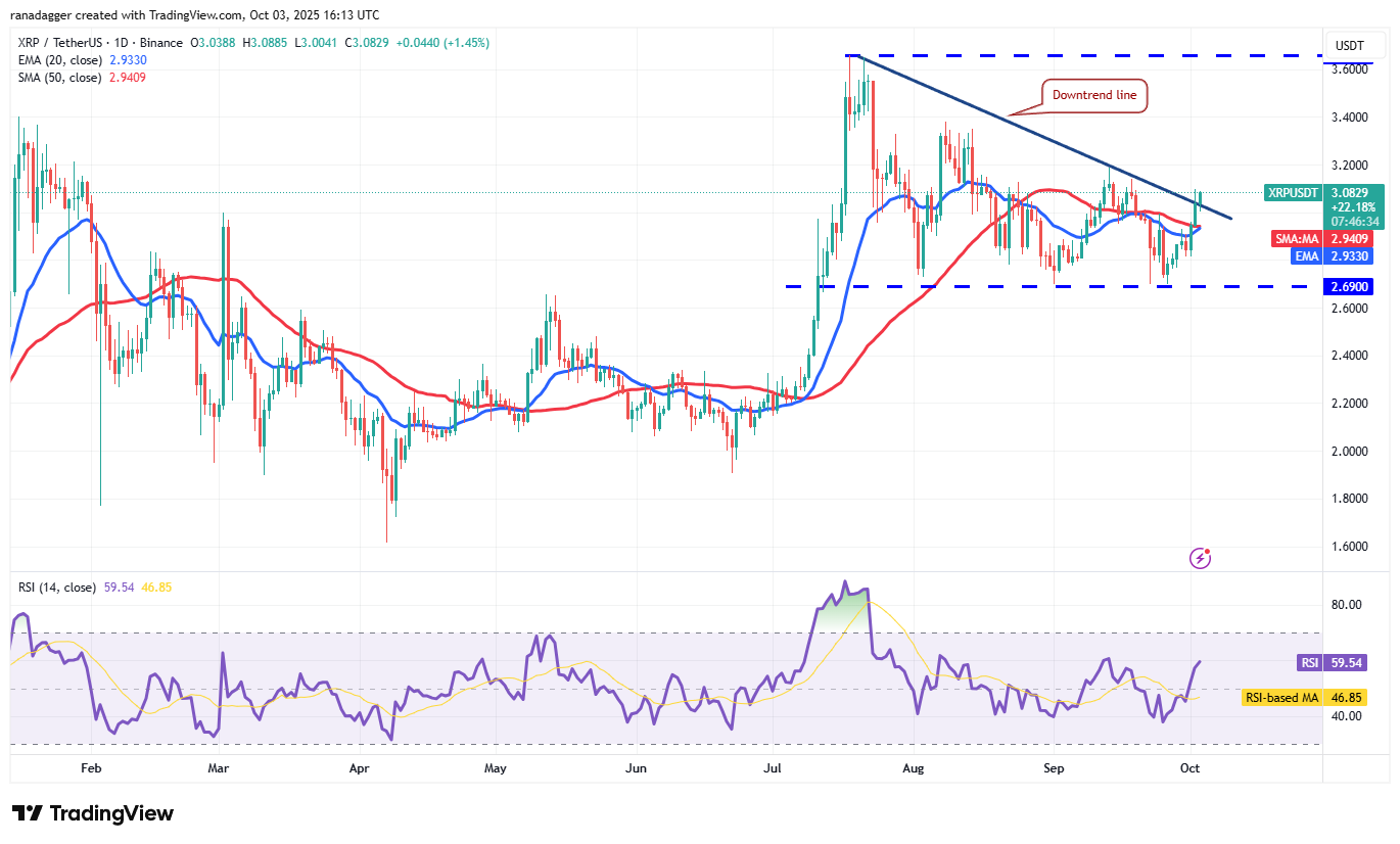 تحلیل روزانه قیمت ریپل + نمودار حرفه ای تحلیل تکنیکال XRP | بلاگ آریومکس
