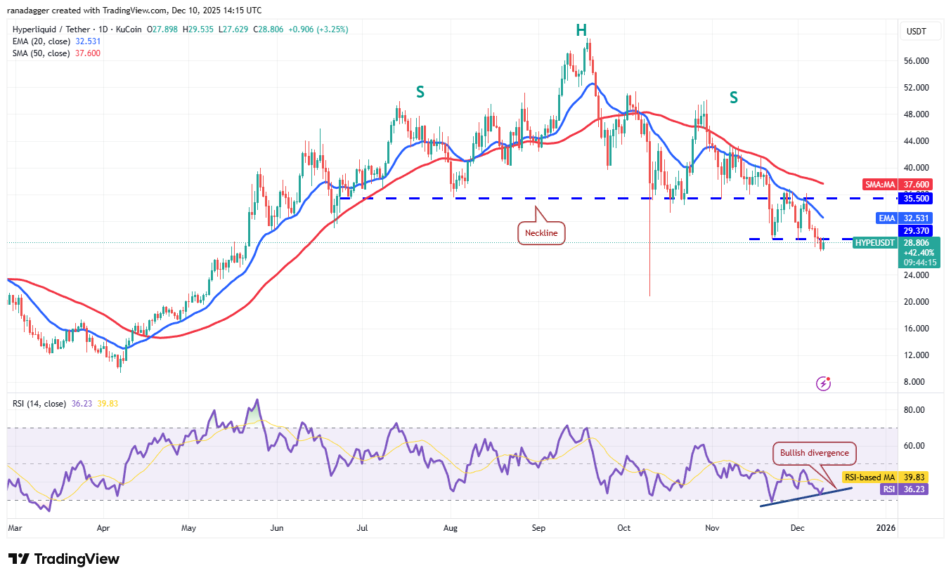 تحلیل قیمت هایپ (HYPE) تاریخ 11 دسامبر (20 آذر)