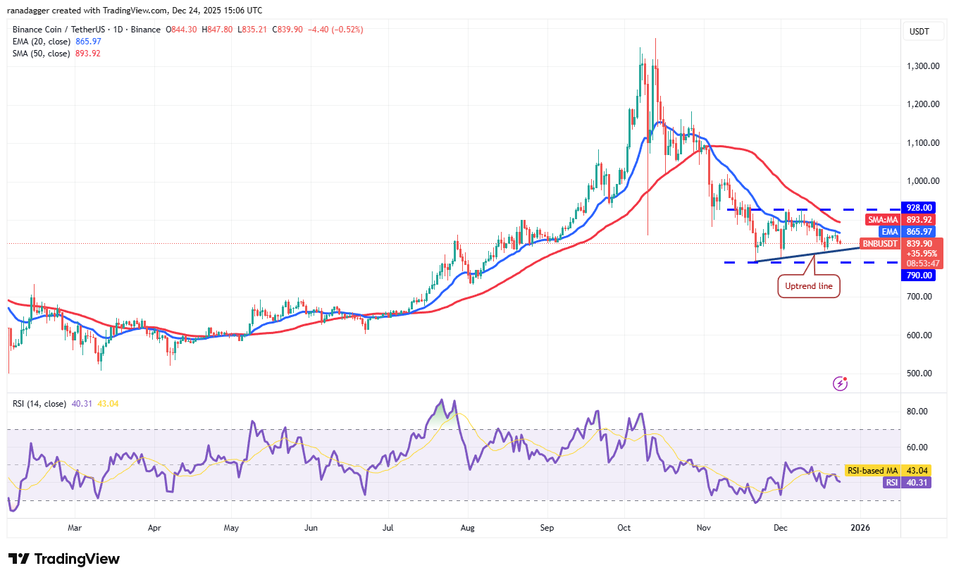 تحلیل تکنیکال قیمت بایننس کوین (BNB) | بلاگ آریومکس تحلیل قیمت بایننس کوین (bnb)